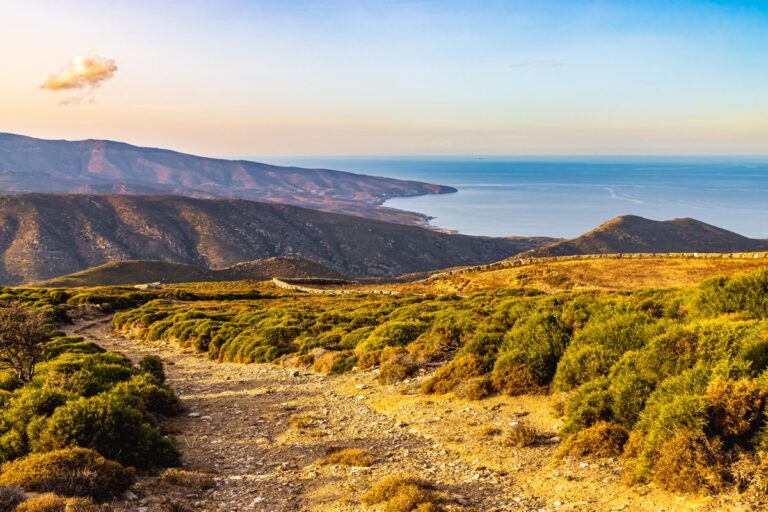 A dirt track above the sea in golden light, Andros